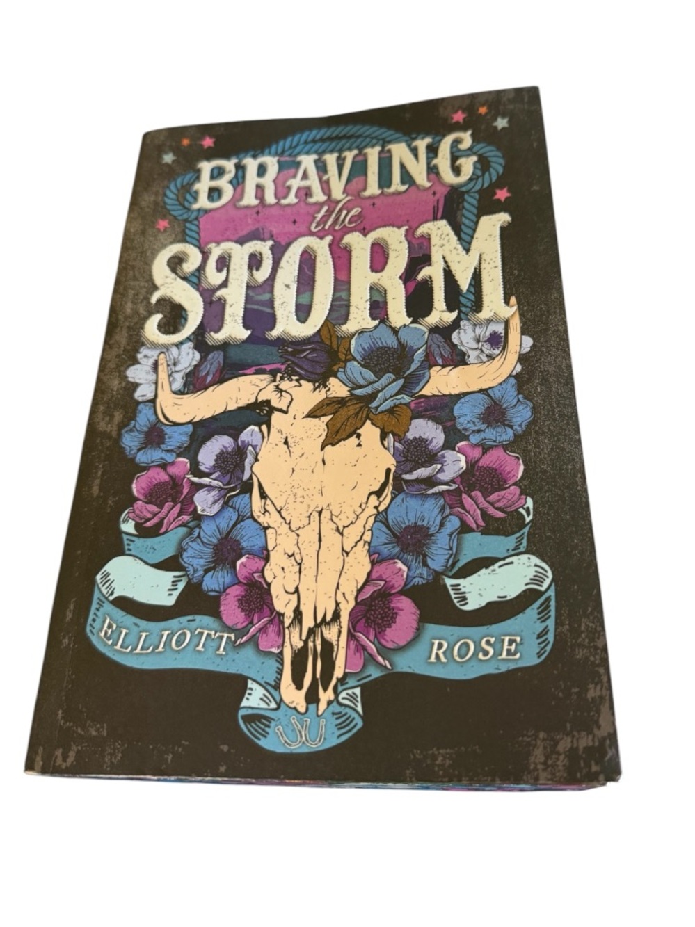 Braving the Storm by Elliot Rose paperback book